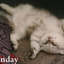 Что делать, когда тревожно? Советы психолога оренбуржцам