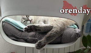 Ясно, тихо и очень холодно: Оренбуржье накроют аномальные морозы