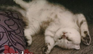 Что делать, когда тревожно? Советы психолога оренбуржцам