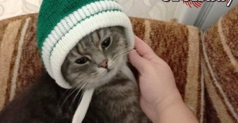 В Оренбуржье ожидается неустойчивая погода: дожди, ветер и ночные заморозки