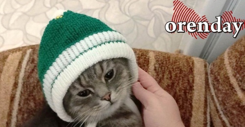 Экстренное предупреждение: неблагоприятные погодные условия ожидаются в Оренбургской области