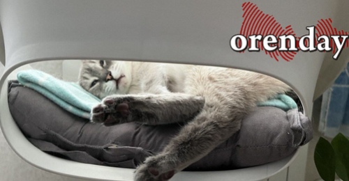 Ясно, тихо и очень холодно: Оренбуржье накроют аномальные морозы