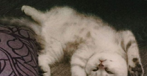 Что делать, когда тревожно? Советы психолога оренбуржцам