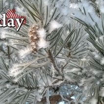 Первая рабочая неделя нового года начнется для оренбуржцев с морозца