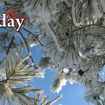 Морозный антициклон не оставляет Оренбуржье