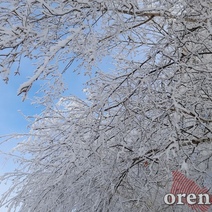 Оренбуржцам обещают оттепель и метель