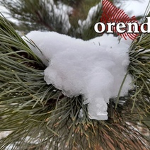 Какую погоду ждать оренбуржцам в новогоднюю ночь