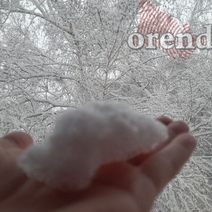 Когда оренбуржцы дождутся снега