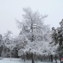 В Оренбургской области ожидается мороз до минус 44 градусов