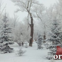 Ближайшие три дня Оренбуржье будет заваливать снегом