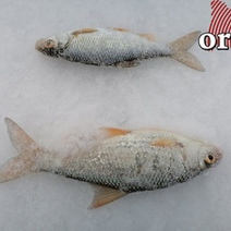 Оренбуржцев ожидает резкое похолодание