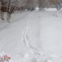 В Оренбуржье ожидается похолодание
