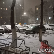 В Оренбурге в суде гадали, чье же дерево упало на автомобиль