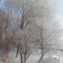 У школьников из Оренбурга зимние каникулы могут начаться уже завтра
