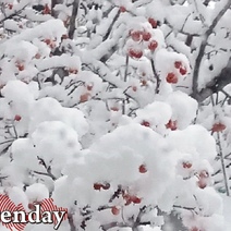 1 января в Оренбургской области ожидается сильный снегопад