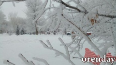 Кто из школьников в Оренбургской области может остаться дома из-за мороза