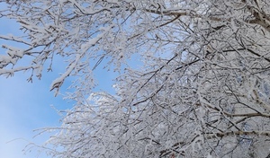 В ночь на 21 декабря в Оренбуржье ударит мороз