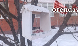 Оренбуржцев ждёт новый снежный напор и возврат морозов