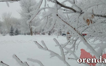 Кто из школьников в Оренбургской области может остаться дома из-за мороза
