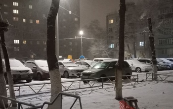 В Оренбурге в суде гадали, чье же дерево упало на автомобиль