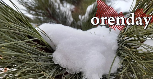 Какой будет погода в Оренбуржья на Рождество? 