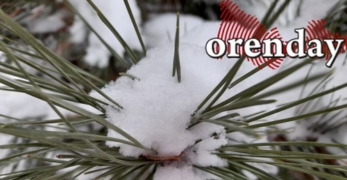 Оренбуржье ожидают морозные ночи и солнечные дни