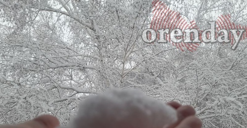 Баскетболисты не успели прибыть в Оренбург из-за снежного коллапса в Московском регионе