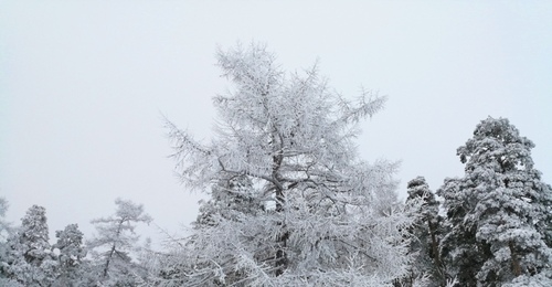 В ночь на 25 декабря в Оренбуржье ударят морозы