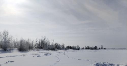 «Снежный треугольник» Оренбуржья: где скопилось больше всего влаги под снегом
