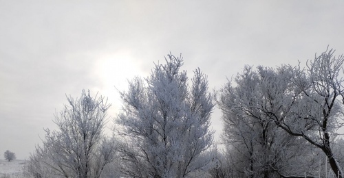 В Оренбургской области объявлена опасность атаки БПЛА