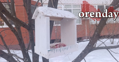 Оренбуржцев ждёт новый снежный напор и возврат морозов