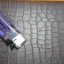 Гайчанку могут отправить в психиатрическую клинику за поджог подъезда