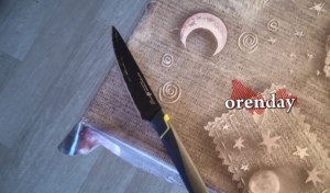 В Ясном женщина с помощью ножа жестоко расправилась с супругом (18+)