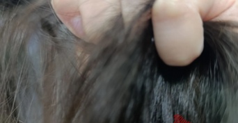 Оренбуржец привел на встречу с бывшей женой сожительницу и не предусмотрел последствия