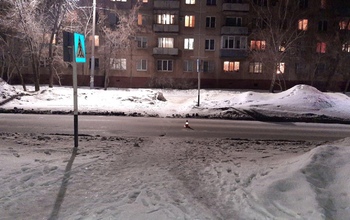 В Оренбурге полиция просит оказать содействие в поиске водителя