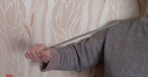 В Новосергиевском районе пенсионерка, обидевшись на невестку за оскорбление ее сыночки-корзиночки, «насадила» ее на шампур