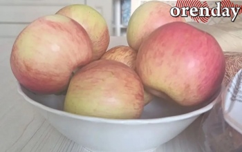 У верующих Оренбуржья начался Успенский пост