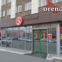 Жительницу Пригородного, которая ограбила 