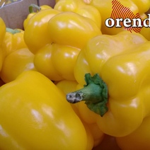 Оренбуржцам рассказали, что есть, чтобы бросить курить