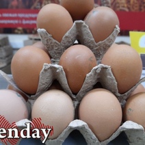 В Оренбургской области снова может находиться продукция, зараженная гриппом птиц