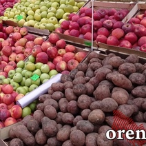 Следователи серьзно занялись мигрантами с одного из рынков Оренбурга