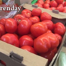 В Оренбургской области на прилавках могли оказаться заражённые томаты