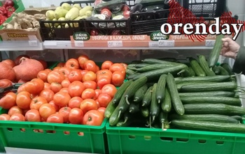 В Оренбуржье не пустили в продажу почти 30 тонн подозрительных продуктов