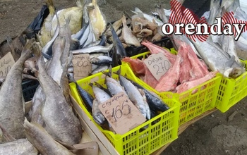 Какая гадость эта ваша замороженная рыба: продавец избила женщину за критику товара
