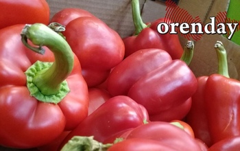 Въезд в Оренбург поперчили