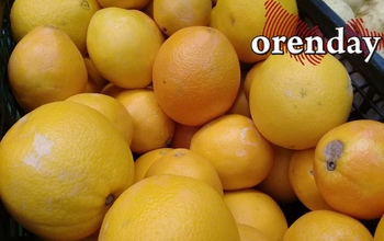 В Оренбургской области снизилась заболеваемость ОРВИ