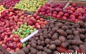 Следователи серьзно занялись мигрантами с одного из рынков Оренбурга