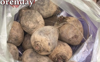 Какие продукты стоит добавить в рацион оренбуржцам, чтобы не болеть