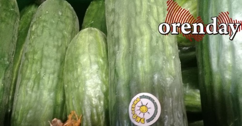 Минсельхоз Оренбуржья не смущают высокие цены на огурцы