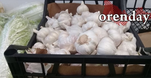 Что оренбуржцам поможет и нет в профилактике ОРВИ